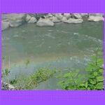 Another Rainbow_t.jpg